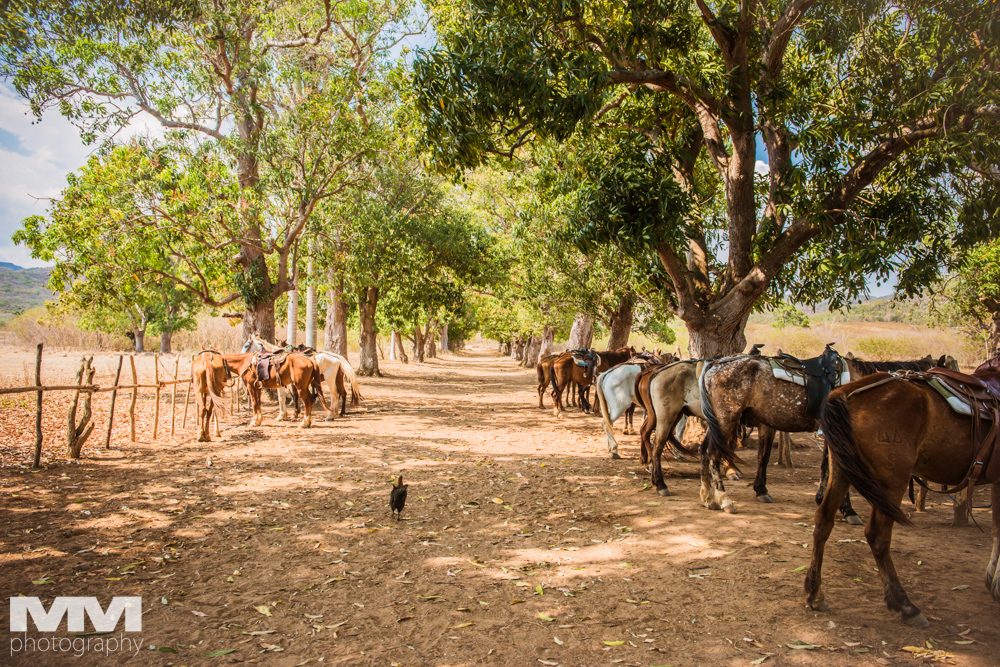 trinidad dolina cukrowa 51