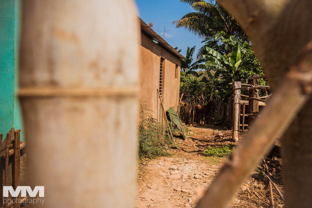 trinidad dolina cukrowa 54