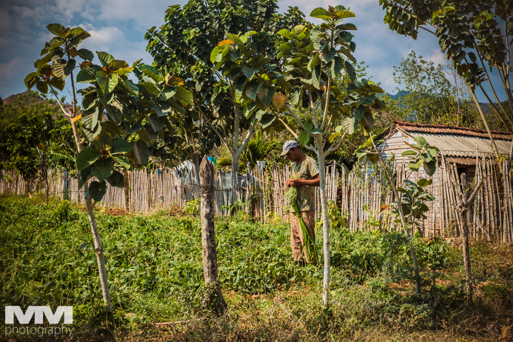 trinidad dolina cukrowa 57