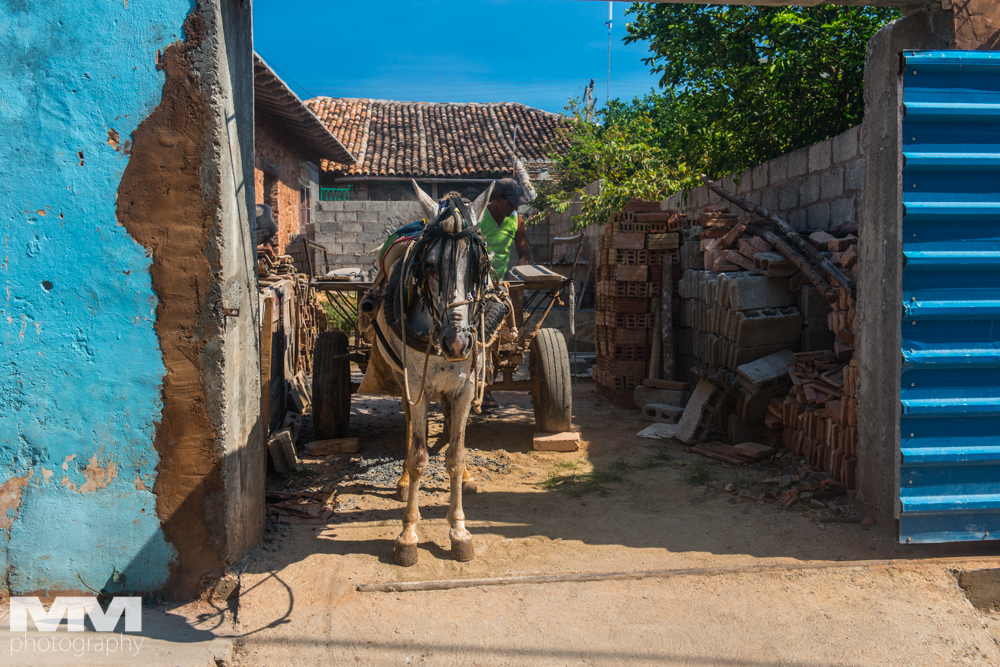 trinidad playa boca 16