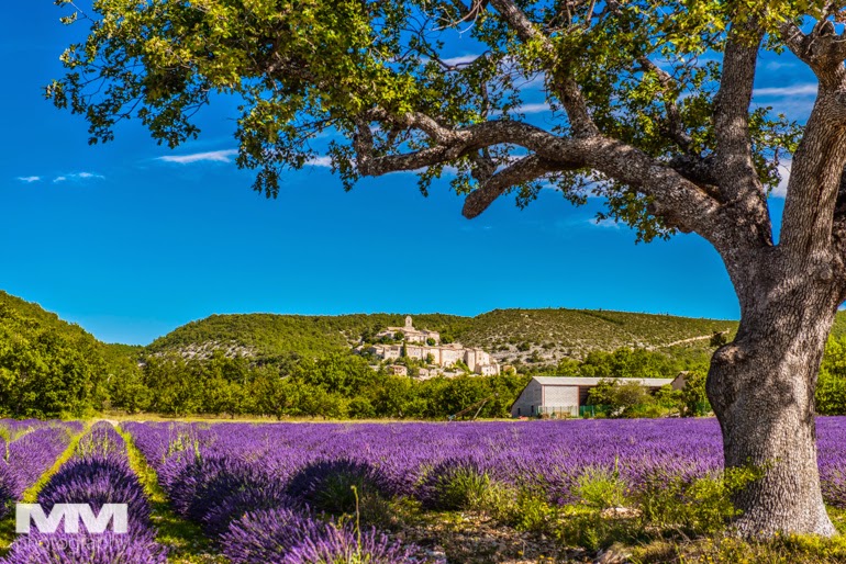 valensole rougon kanion verdon 01