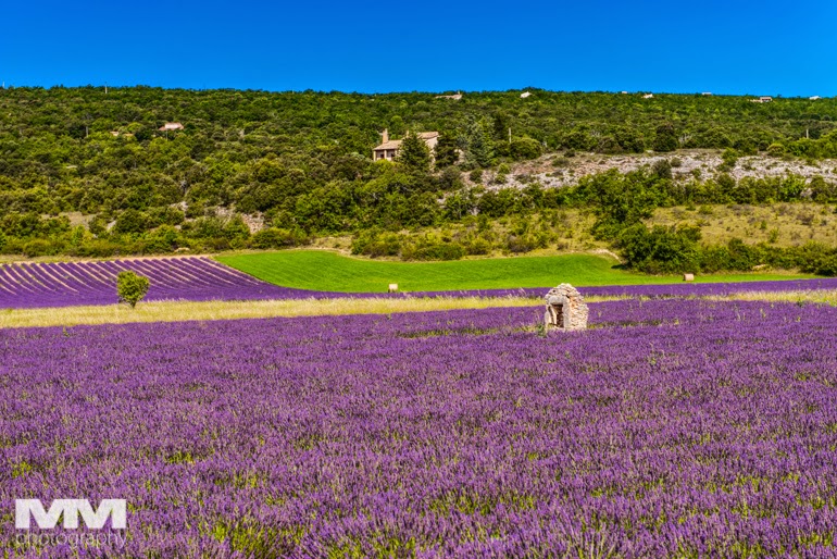 valensole rougon kanion verdon 03