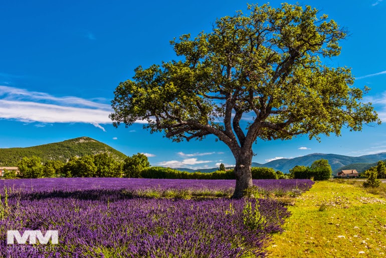 valensole rougon kanion verdon 04