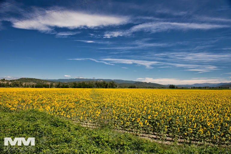 valensole rougon kanion verdon 05
