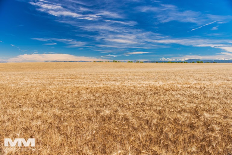 valensole rougon kanion verdon 06