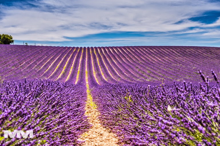 valensole rougon kanion verdon 07