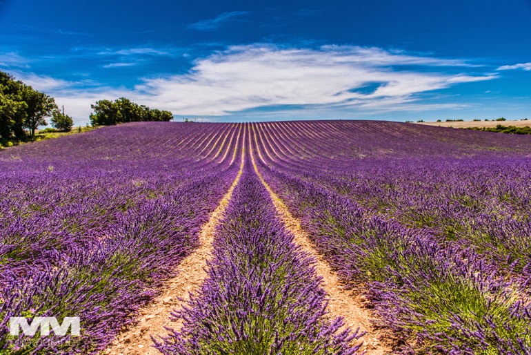valensole rougon kanion verdon 08