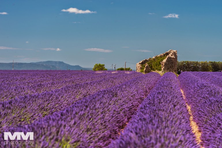 valensole rougon kanion verdon 10
