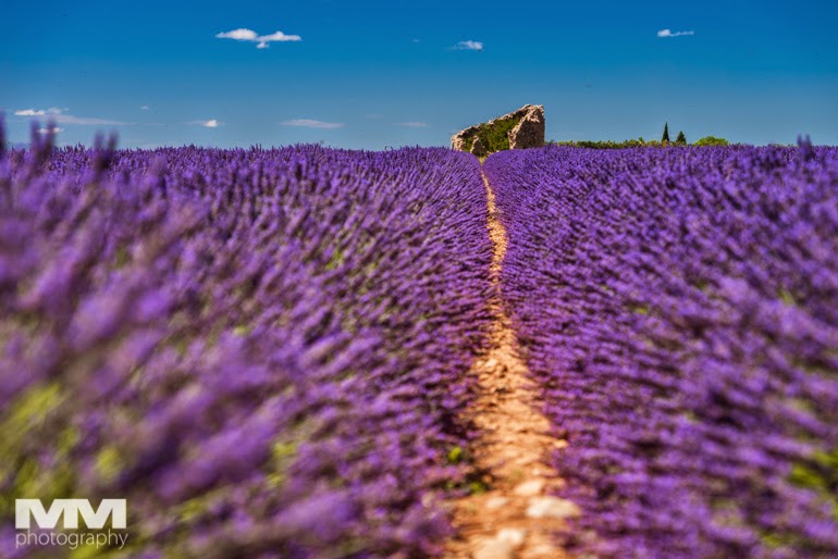 valensole rougon kanion verdon 11