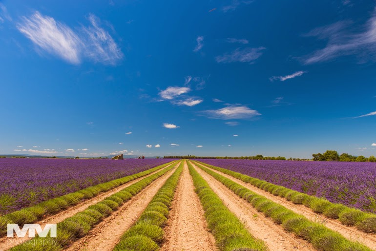 valensole rougon kanion verdon 12
