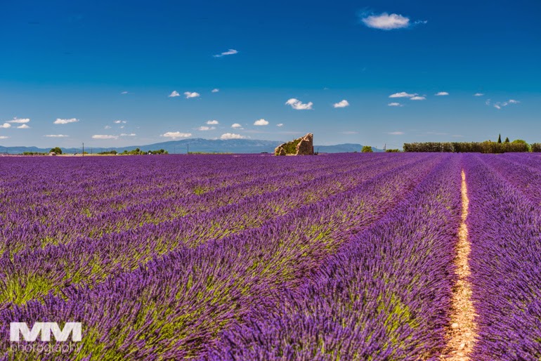 valensole rougon kanion verdon 13