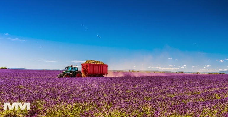 valensole rougon kanion verdon 15