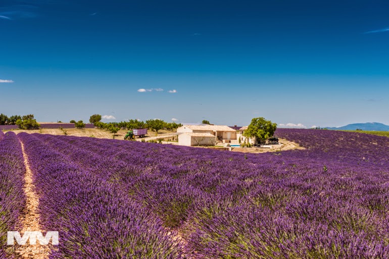 valensole rougon kanion verdon 16
