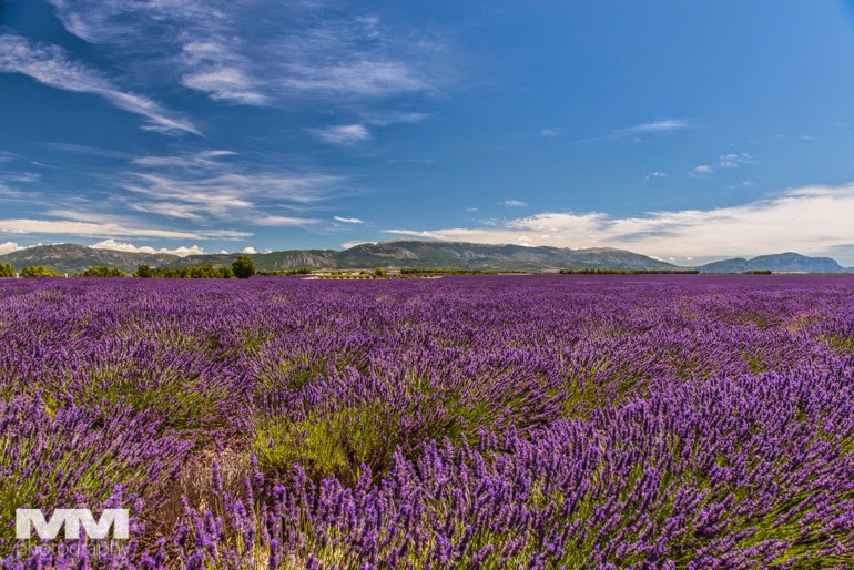 valensole rougon kanion verdon 20