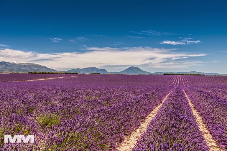 valensole rougon kanion verdon 21