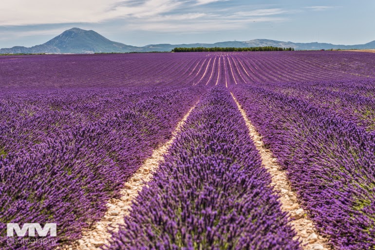 valensole rougon kanion verdon 22