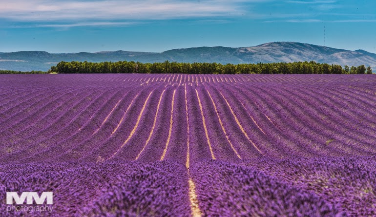 valensole rougon kanion verdon 23