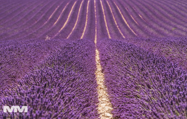 valensole rougon kanion verdon 24