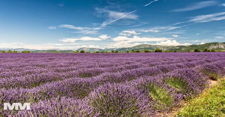 valensole rougon kanion verdon 25