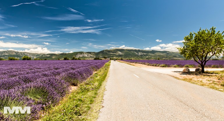 valensole rougon kanion verdon 26