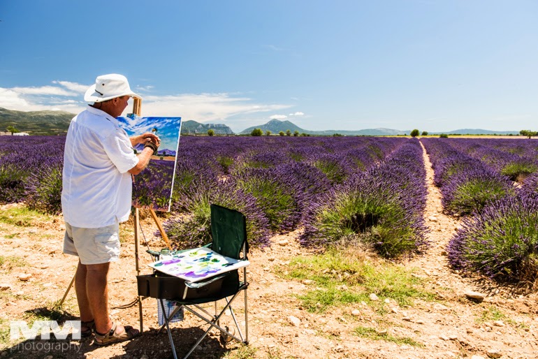 valensole rougon kanion verdon 29