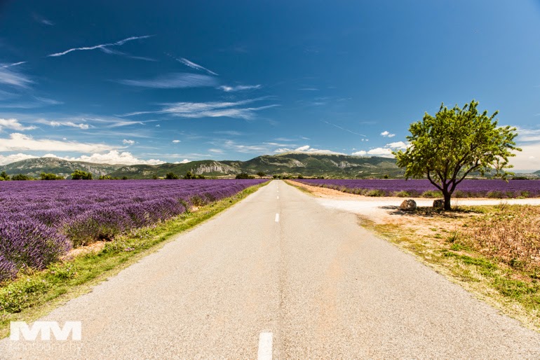valensole rougon kanion verdon 30