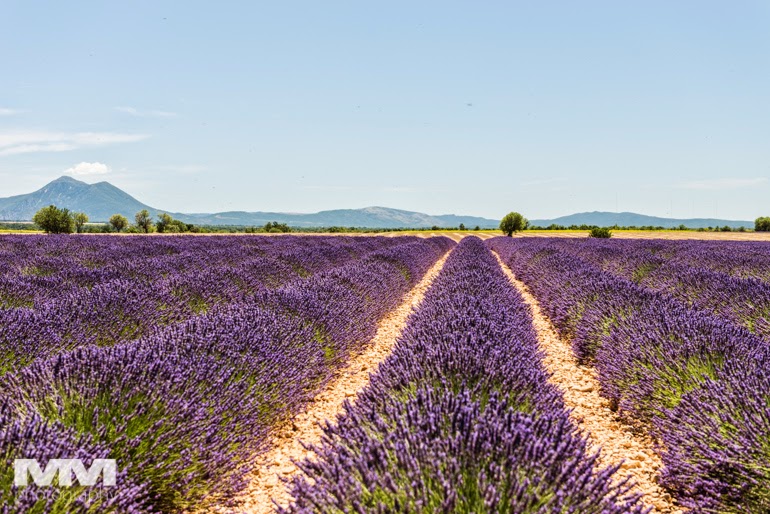 valensole rougon kanion verdon 31