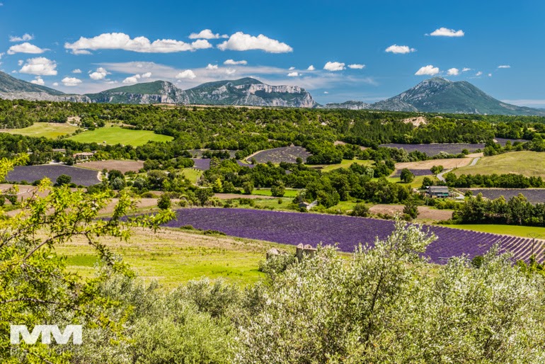 valensole rougon kanion verdon 32