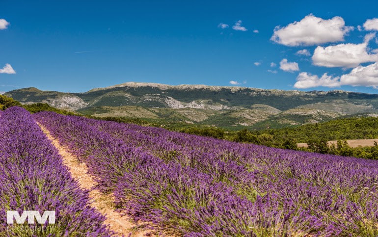 valensole rougon kanion verdon 33