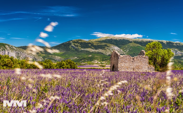 valensole rougon kanion verdon 34
