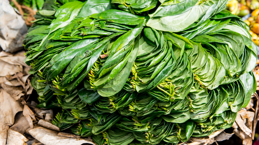 Haputale Sri Lanka 5